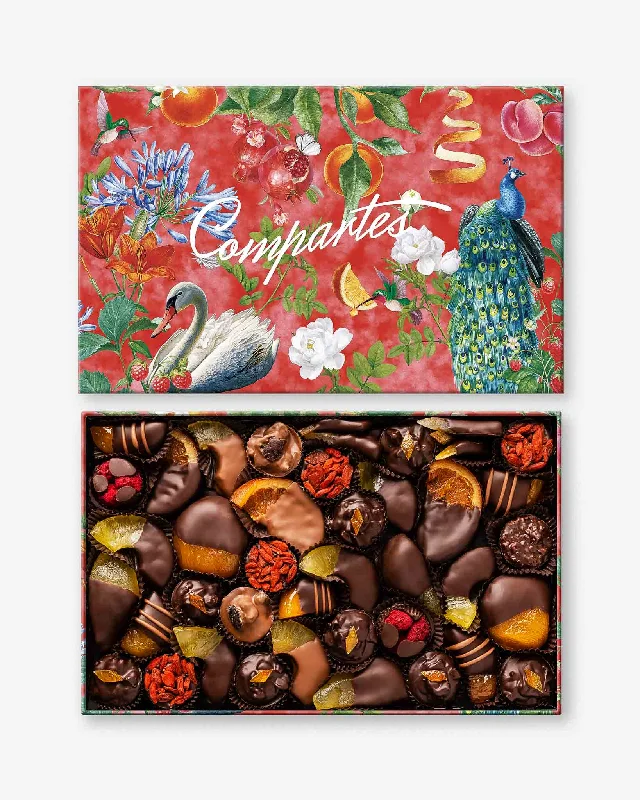 Chocolate Covered Fruit Gift Box