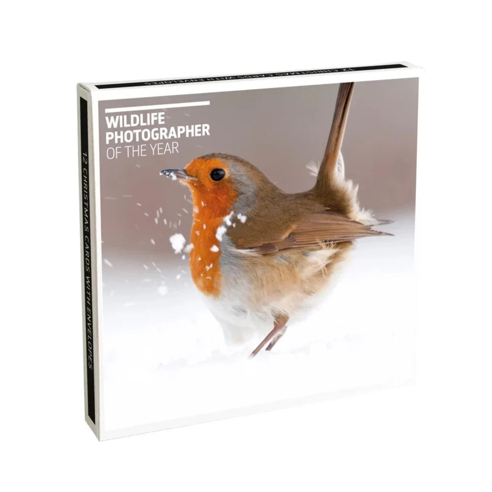 Museums & Galleries - Robin & Hare Boxed Christmas Cards