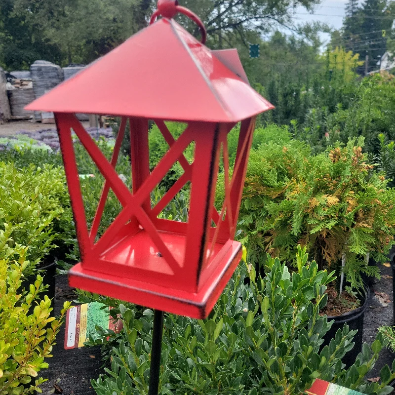 Red Lantern