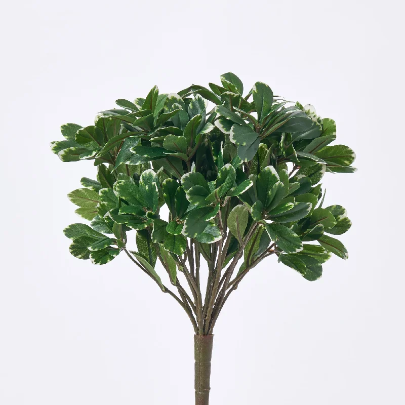 Green Variegated Pittosporum Leaf Foliage Faux All Seasons Evergreen Bush - 13"